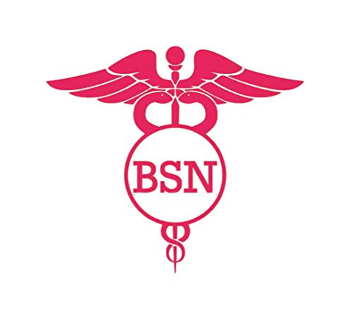 Custom BSN Nurse Vinyl Decal - Caduceus Nursing Bumper Sticker, for Tumblers, Laptops, Car Windows - Rn Cna Lpn Decal - Style 2