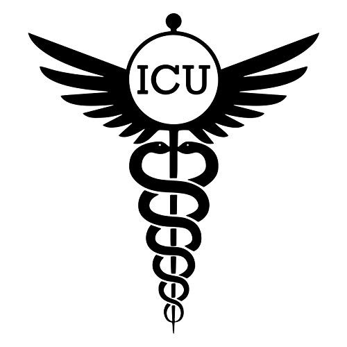 Custom ICU Nurse Vinyl Decal - Caduceus Nursing Bumper Sticker, for Tumblers, Laptops, Car Windows - Rn Cna Lpn Decal