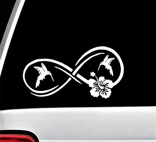 Hummingbird Infinity Decal Sticker for Car Window 8.0 Inch BG 343