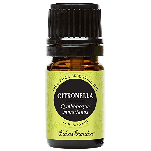 Edens Garden Citronella Essential Oil, 100 percent Pure Therapeutic Grade -Inflammation and Skin Care- 5 ml Edens Garden Citronella Essential Oil, 100 percent Pure Therapeutic Grade -Inflammation and Skin Care- 5 ml