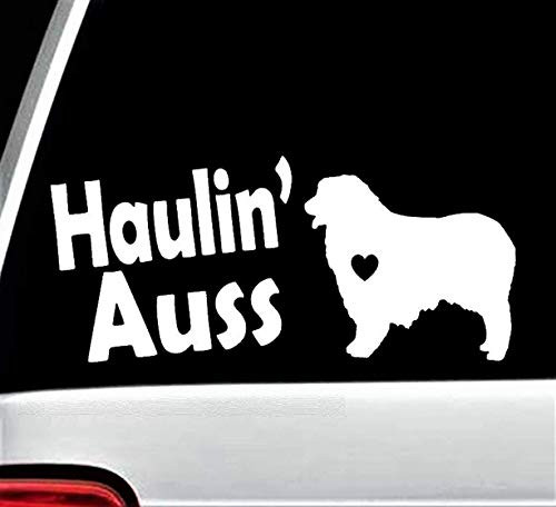 Haulin Auss Australian Shepherd Aussie Decal Sticker for Car Window