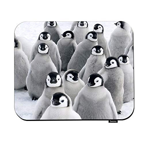 Swono Penguins Mouse Pads Cute Lovely Funny Antarctic Penguins Mouse Pad for Laptop Funny Non-Slip Gaming Mouse Pad for Office Home Travel Mouse Mat 7.9"X9.5" Swono Penguins Mouse Pads Cute Lovely Funny Antarctic Penguins Mouse Pad for Laptop Funny Non-Slip Gaming Mouse Pad for Office Home Travel Mouse Mat 7.9"X9.5"