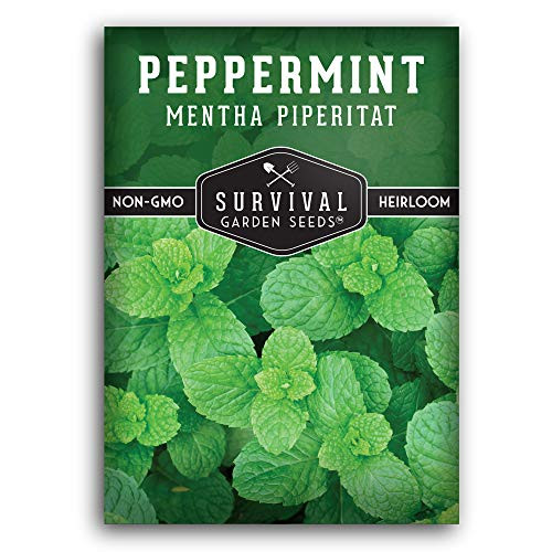 Survival Garden Seeds - Peppermint Seed for Planting - Mentha Piperita Packet with Instructions to Plant and Grow Your Home Herb Garden - Non-GMO Heirloom Variety