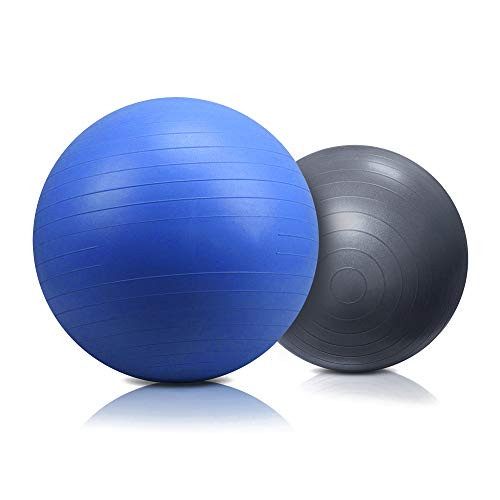 LERYG Pilates Mini Exercise Ball 9 Inch Small Bender Ball for Stability, Barre, Pilates, Yoga, Core Training and Physical Therapy LERYG Pilates Mini Exercise Ball 9 Inch Small Bender Ball for Stability, Barre, Pilates, Yoga, Core Training and Physical Therapy