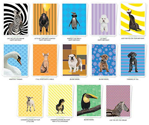 Assorted Animals Premium Greeting Cards - Bulk Set of 14 Cards Including: Birthday, Thank You, New Baby, Inspiration and Blank