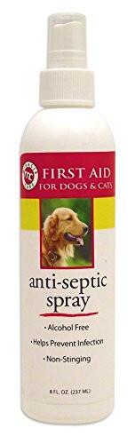 Miracle Care by MiracleCorp/Gimborn R-7 Anti-Septic Spray, 8-Ounce