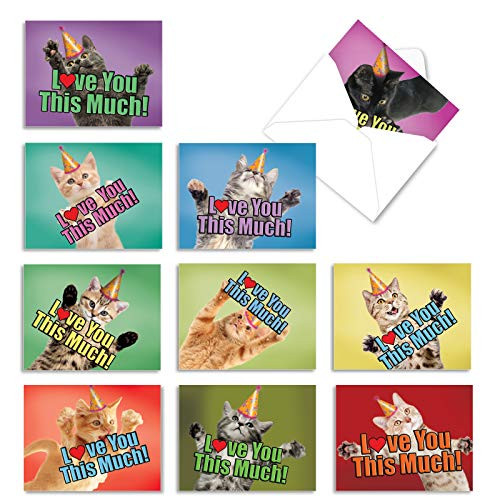 The Best Card Company - 10 Animal Birthday Cards with Envelopes -4 x 5.12 Inch- - Cute Boxed Notecards, Bulk Bday Cards for Kids - Cat Love You This Much M6610BDG The Best Card Company - 10 Animal Birthday Cards with Envelopes -4 x 5.12 Inch- - Cute Boxed Notecards, Bulk Bday Cards for Kids - Cat Love You This Much M6610BDG