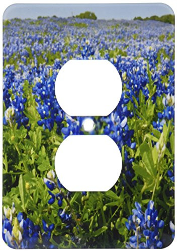 3dRose lsp_94451_6" Bluebonnets, Fryeburg, Texas-US44 FVI0007-Franklin Viola" 2 Plug Outlet Cover Multicolor