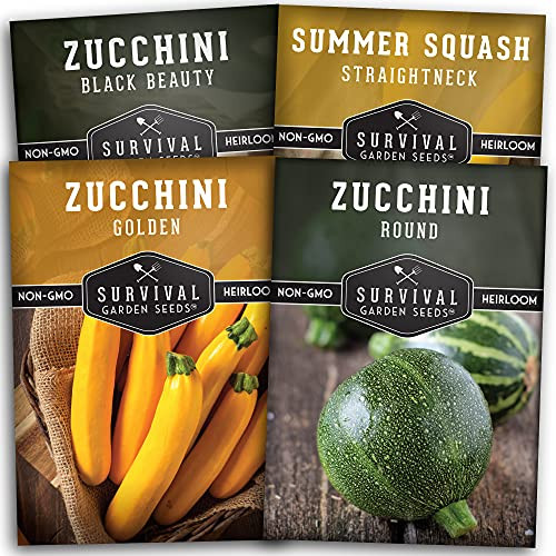 Survival Garden Seeds Zucchini  and  Squash Collection Seed Vault - Non-GMO Heirloom Seeds for Planting Vegetables - Golden, Round, Black Beauty Zucchinis and Straight Neck Squash Survival Garden Seeds Zucchini  and  Squash Collection Seed Vault - Non-GMO Heirloom Seeds for Planting Vegetables - Golden, Round, Black Beauty Zucchinis and Straight Neck Squash