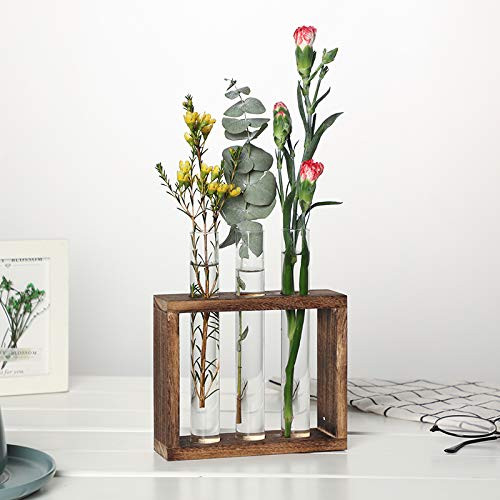 Plant Terrarium Crystal Glass Plant Propagation Stand Tubes Station Wall Hanging Test Tube Planter in Wooden Stand Flower Vase Propagation Station Hydroponics Planter Home Garden-3 Tubes,Brown-