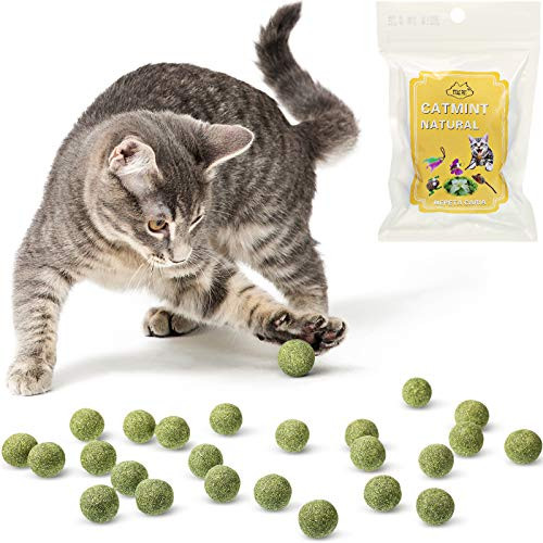 Skylety 25 Pieces Compressed Catnip Ball Cat Toys Indoor Catnip Edible Licking Balls Catnip Cat Treats Toys for Cats Kitten Kitty Playing Chewing Cleaning Teeth