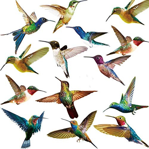 12 Pieces Hummingbird Pattern Window Clings Anti Collision Window Stickers Humming Bird Alert Collision Decals to Help Birds Avoid Strikes on Window, Glass and Doors 12 Pieces Hummingbird Pattern Window Clings Anti Collision Window Stickers Humming Bird Alert Collision Decals to Help Birds Avoid Strikes on Window, Glass and Doors
