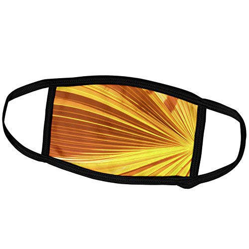 3dRose Print of Yellow and Orange Palm Fan Plant - Face Covers -fc_221046_2-