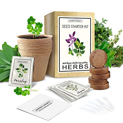 Indoor Herb Garden Starter Kit - Non GMO - Seed Packets, Pots, Markers, Soil Mix - Fresh Basil, Cilantro, Parsley, Sage, Thyme