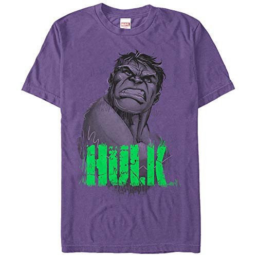 Men's Marvel Hulk Smile Sketch T-Shirt - Purple - 2X Large