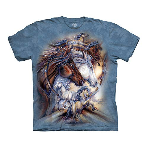 The Mountain Unisex-Adult's The Journey is The Reward, Blue, 3XL