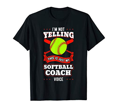 Softball Coach Pitcher Trainer Bat Ball Baseball Lover Gift T-Shirt Softball Coach Pitcher Trainer Bat Ball Baseball Lover Gift T-Shirt