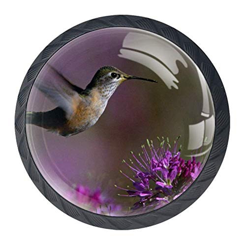 Idealiy Flying Hummingbird Cabinet Door Knobs Handles Pulls Cupboard Handles Drawer Wardrobe 4pcs