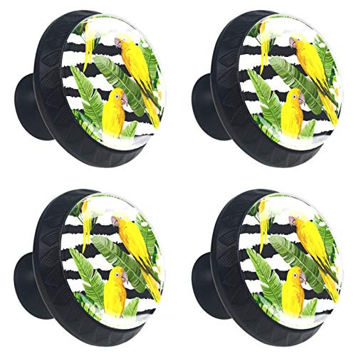 Kitchen Cabinet Knobs - Tropical Floral Parrot Bird Plant Stripe - Knobs for Dresser Drawers for Cupboard,Wardrobe,Bathroom or Office - Pack of 4