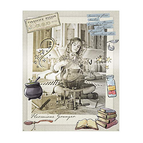 Paladone Harry Potter Polyjuice Potion 1000 Piece Jigsaw Puzzle - Officially Licensed Merchandise Paladone Harry Potter Polyjuice Potion 1000 Piece Jigsaw Puzzle - Officially Licensed Merchandise