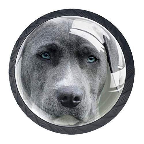 Dresser Knobs Kids Animal Canine Drawer Knobs Crystal Cabinet Knobs Black Pull Knobs Glass Baby Knobs for Dresser Closet Chest 4pcs 1.38x1.10 in