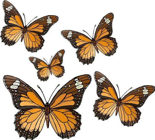 Five Brown and Orange Butterflies - Etched Vinyl Stained Glass Film, Static Cling Window Decal Five Brown and Orange Butterflies - Etched Vinyl Stained Glass Film, Static Cling Window Decal