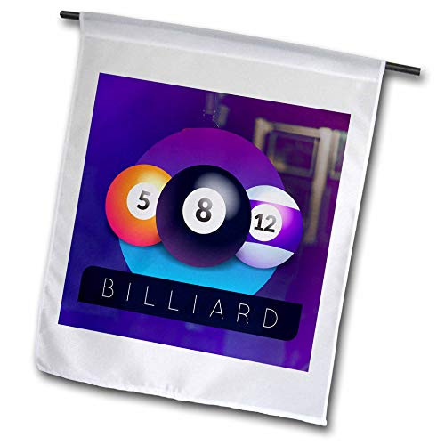 3dRose Sven Herkenrath Billiard - Pool Billiard Artwork with Balls and Cue Players - 12 x 18 inch Garden Flag -fl_311461_1-