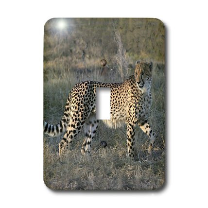 3dRose LLC lsp_20112_1 South African Cheetah Trotting Side View Single Toggle Switch