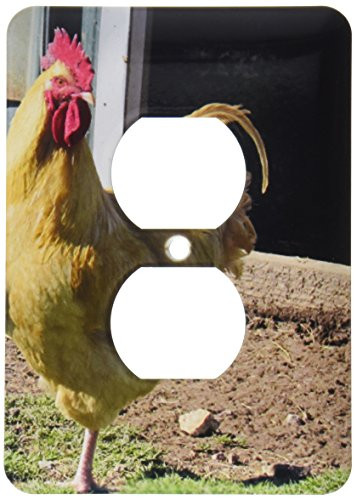 3dRose lsp_195193_6 Rooster 2 Plug Outlet Cover