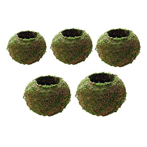 5pcs Natural Dry Moss Ball Bonsai Green Sphagnum Moss Planter Ball Flowerpot