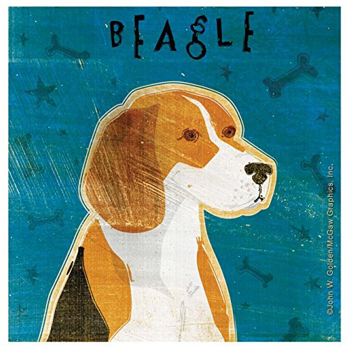 Thirstystone Occasions Coaster, Beagle, Multicolor