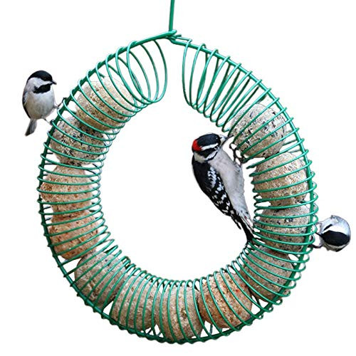 WWNLSO Ring Feeder Hanging Peanut Wreath Bird Feeder, Green Ring Suet Ball Feeder with Hook, Whole Peanuts, Wild Bird Feeder, Wild Bird Watching