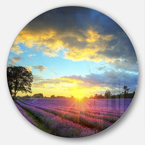 Designart Stunning Sunset Over Lavender Fields Flower Metal Wall Art- Disc of 23 23'' H x 23'' W x 1'' D 1P Purple/Yellow Designart Stunning Sunset Over Lavender Fields Flower Metal Wall Art- Disc of 23 23'' H x 23'' W x 1'' D 1P Purple/Yellow