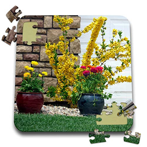 3dRose Jos Fauxtographee- Plants - Forsythia and Other Potted Plants in a Beautiful Yard with Brick - 10x10 Inch Puzzle -pzl_319582_2- 3dRose Jos Fauxtographee- Plants - Forsythia and Other Potted Plants in a Beautiful Yard with Brick - 10x10 Inch Puzzle -pzl_319582_2-