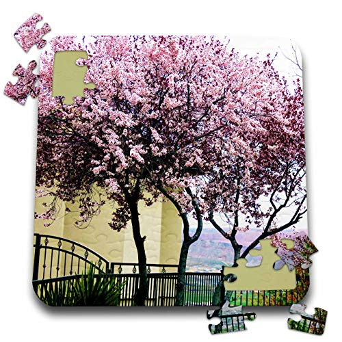 3dRose Jos Fauxtographee- Trees in Yard - Foremaster Ridge a Home with Beautiful Yard and Pink and Maroon Trees - 10x10 Inch Puzzle -pzl_320309_2- 3dRose Jos Fauxtographee- Trees in Yard - Foremaster Ridge a Home with Beautiful Yard and Pink and Maroon Trees - 10x10 Inch Puzzle -pzl_320309_2-