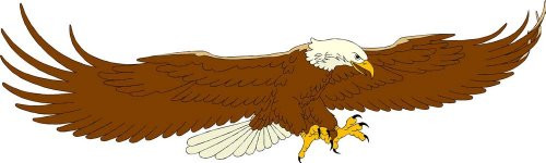 Eagle in Flight - Etched Vinyl Stained Glass Film, Static Cling Window Decal Eagle in Flight - Etched Vinyl Stained Glass Film, Static Cling Window Decal
