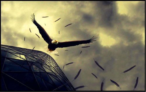 American Eagle in Flight - Etched Vinyl Stained Glass Film, Static Cling Window Decal American Eagle in Flight - Etched Vinyl Stained Glass Film, Static Cling Window Decal