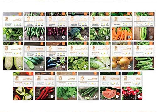 Bentley Seed Co. Set of 20 Vegetable Seeds for Planting - Gardening Seeds to Grow in a Garden or Indoors - Get your own Seeds for Planting Vegetables with Non GMO - Garden Seeds Vegetable Variety Pack