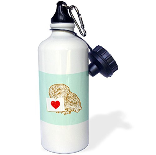 3dRose Russ Billington Illustrations - Cute Owl Holding Note with Red Heart on Mint Green Background - 21 oz Sports Water Bottle (wb_219156_1)