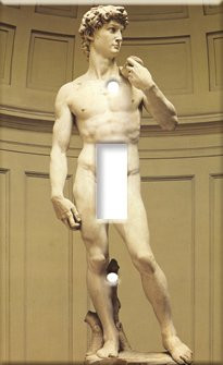 Single Toggle Switch Plate - Michelangelo's: David