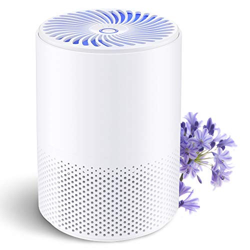 BOYON Air Purifier for Home, Air Purifier with 3-in-1 H13 True HEPA Filter, Desktop Air Cleaner with Light, Remove 99.97 percent Smoke Dust Pollen