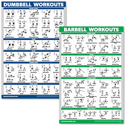 QuickFit Dumbbell Workouts and Barbell Exercise Poster Set - Laminated 2 Chart Set - Dumbbell Exercise Routine & Barbell Workouts (18" x 27")