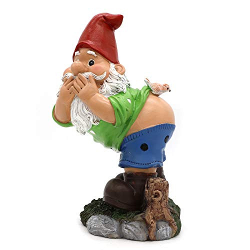 Gnome on a Throne Garden Gnome, Naughty Outdoor Gnome Statue Decorations, 9.5'' Tall Funny Garden Figurines for Lawn Ornaments Patio Yard Decor Gnome on a Throne Garden Gnome, Naughty Outdoor Gnome Statue Decorations, 9.5'' Tall Funny Garden Figurines for Lawn Ornaments Patio Yard Decor