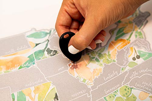 Jetsetter Maps Scratch Your Travels Peachy Botanicals Watercolor Floral USA Map -Silver-