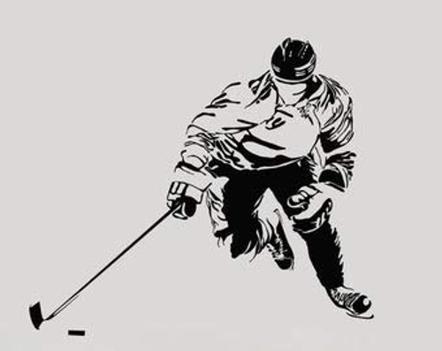 Hockey Player Vinyl Wall Decal Ice Puck Sports Fan Art Teen Room Stickers Mural --2673di- Hockey Player Vinyl Wall Decal Ice Puck Sports Fan Art Teen Room Stickers Mural --2673di-