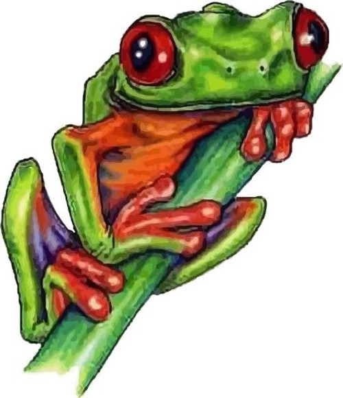 Green Tree Frog - Etched Vinyl Stained Glass Film, Static Cling Window Decal Green Tree Frog - Etched Vinyl Stained Glass Film, Static Cling Window Decal
