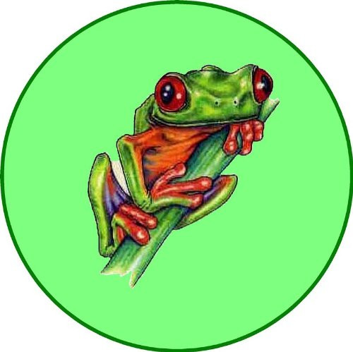 Green Tree Frog on a Limb - Etched Vinyl Stained Glass Film, Static Cling Window Decal Green Tree Frog on a Limb - Etched Vinyl Stained Glass Film, Static Cling Window Decal