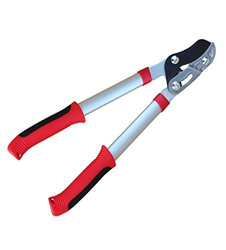 TABOR TOOLS GB19A Anvil Lopper with Compound Action, Chops Thick Branches with Ease, 19 Inch Aluminum Tree Trimmer, Branch Cutter with 1 1/2 Inch Clean Cut Capacity.