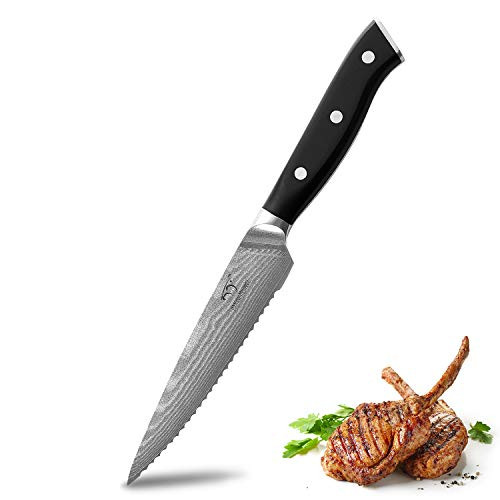 Serrated Utility Knife 5.5 Inch, YanXuan Series Professional Kitchen Knife Forged with VG-10 Super Steel 67-Layer Damascus, Non-slip ABS Ergonomic Triple Rivet Handle, Razor Sharp Lightweight