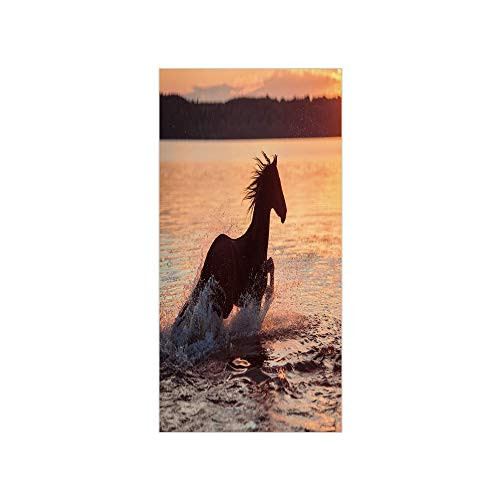 3D Decorative Film Privacy Window Film No Glue,Equestrian,Horse Sea at Sunset Time Horizon Speed Exotic Nature Animal Picture Art,Salmon Dark Brown,for Home and Office 3D Decorative Film Privacy Window Film No Glue,Equestrian,Horse Sea at Sunset Time Horizon Speed Exotic Nature Animal Picture Art,Salmon Dark Brown,for Home and Office